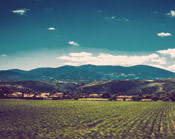 电脑短信轰炸机